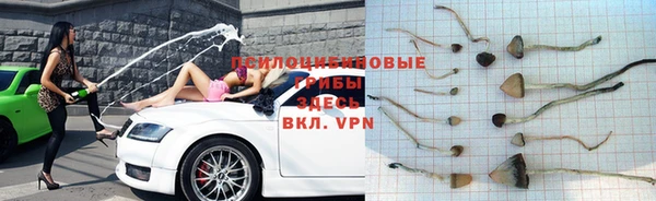 амф Заводоуковск